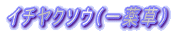 C`N\Ei򑐁j