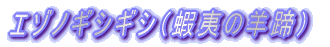 G]mMVMViڈ΂̗rj
