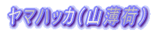 }nbJiRׁj