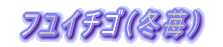  tC`Si~䕁j