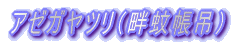 A[Kciȉᒠ݁j