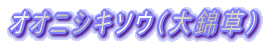 IIjVL\Eiёj