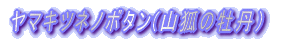 }Lclm{^(Rς̉Oj